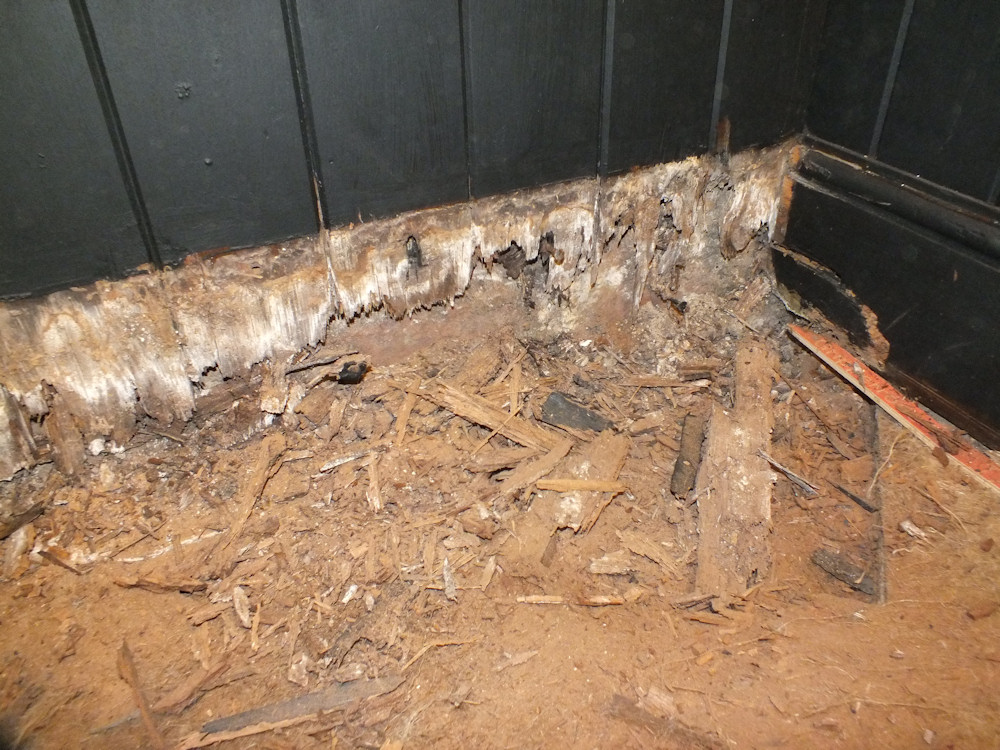 dry-rot-large.jpg