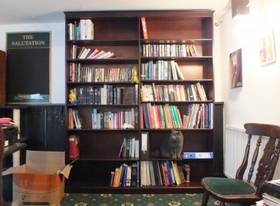 bookcase-installed