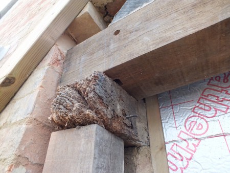 wall-plate-450x338.jpg