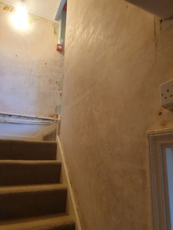 salutation plaster stripping