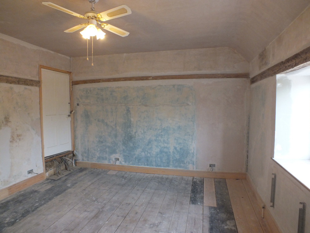 Plaster Conservation (with Lining Paper) The Salutation Restoration