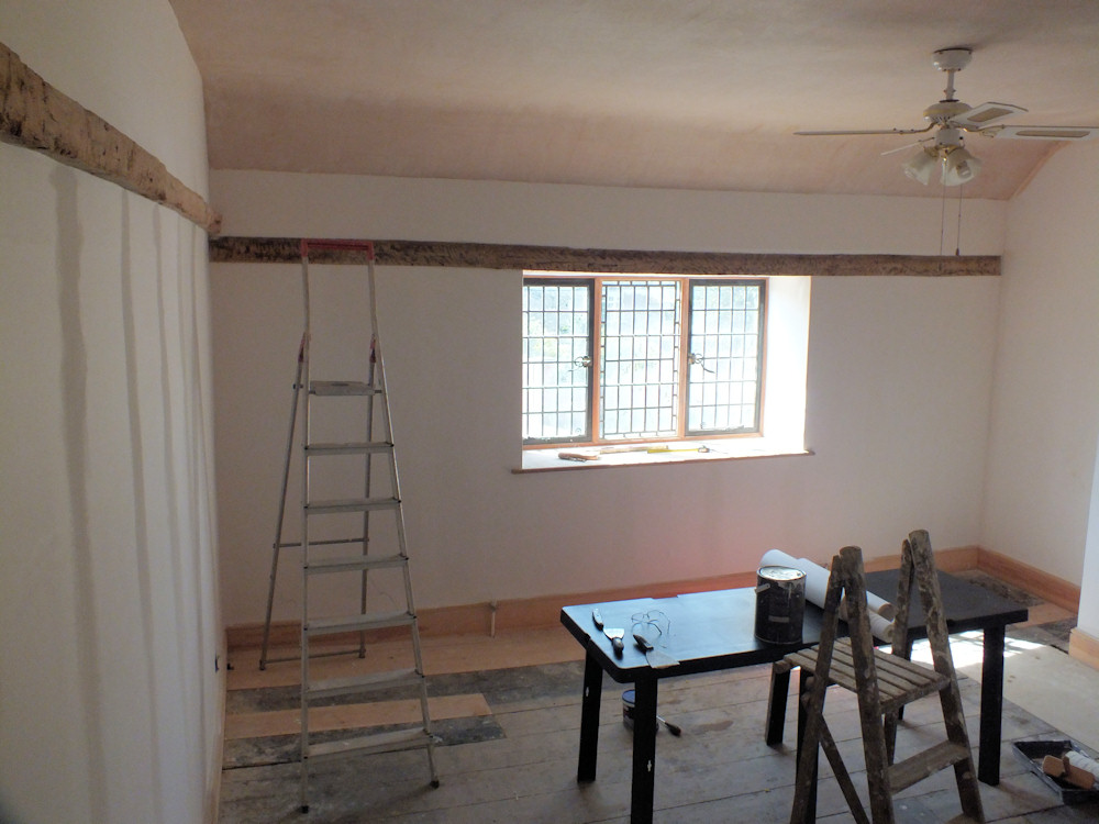 Plaster Conservation (with Lining Paper) The Salutation Restoration